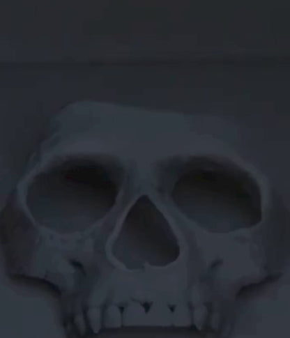 Ghost Skull Mask MW2 Cosplay COD MW2 Ghost Riley Balaclava 3D Printed Skull Face Mask